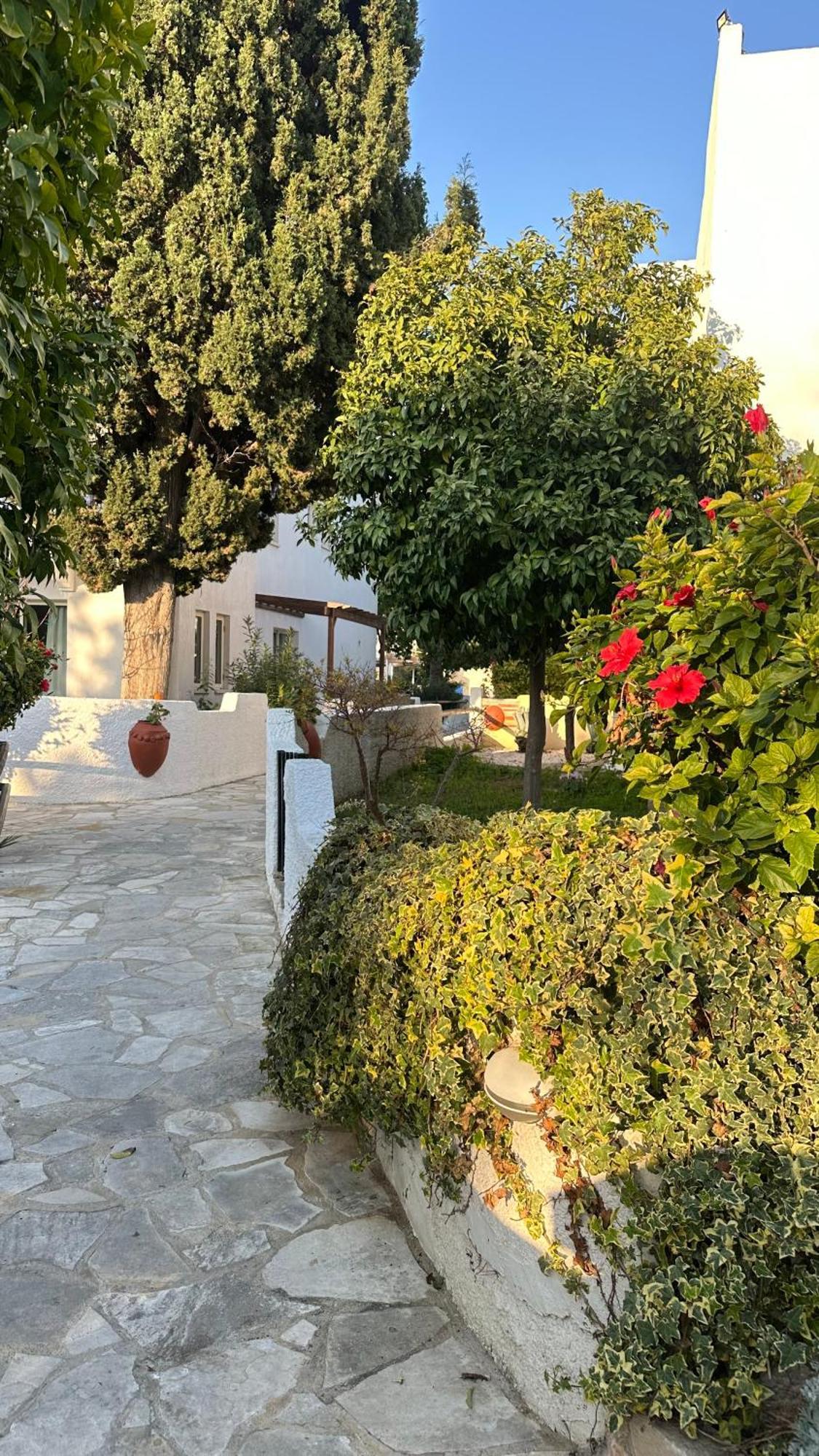 Paphos Gardens Studio Suite Ngoại thất bức ảnh