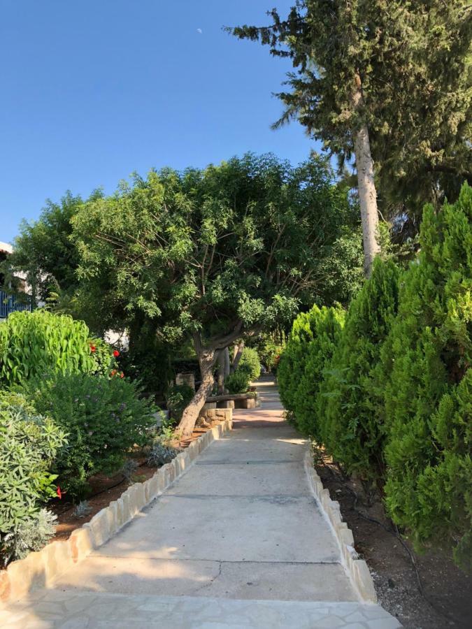 Paphos Gardens Studio Suite Ngoại thất bức ảnh
