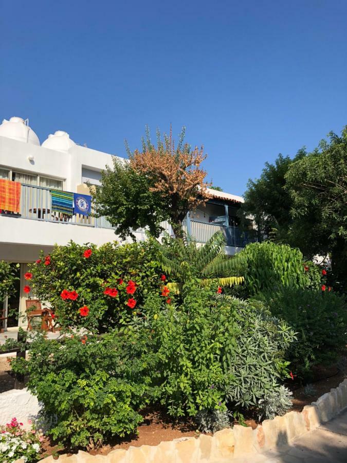 Paphos Gardens Studio Suite Ngoại thất bức ảnh